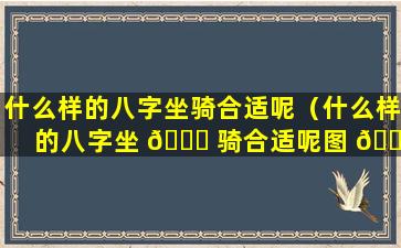 什么样的八字坐骑合适呢（什么样的八字坐 🐒 骑合适呢图 🐎 片）